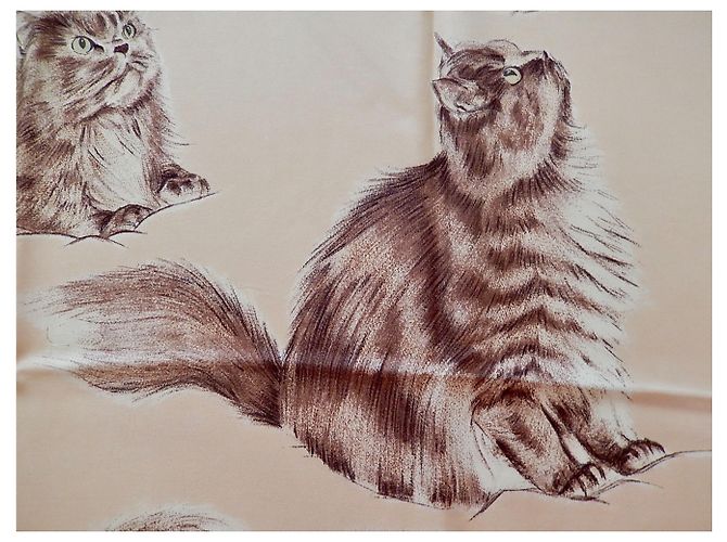 Hermès Gatos persas Crudo - vista 9
