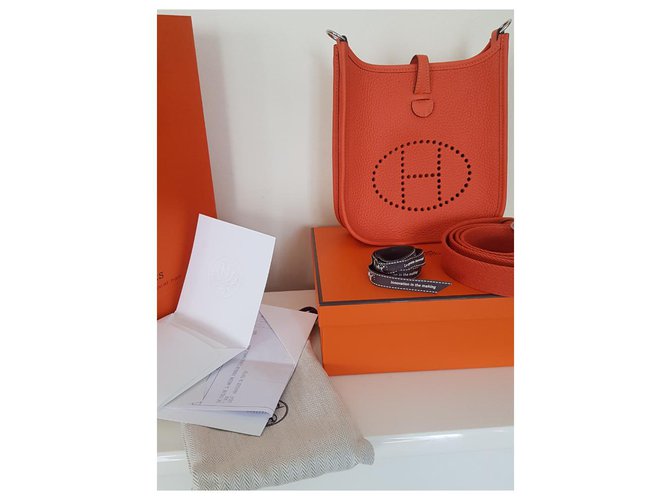 Hermès Evelyne TPM Arancione - vista 2