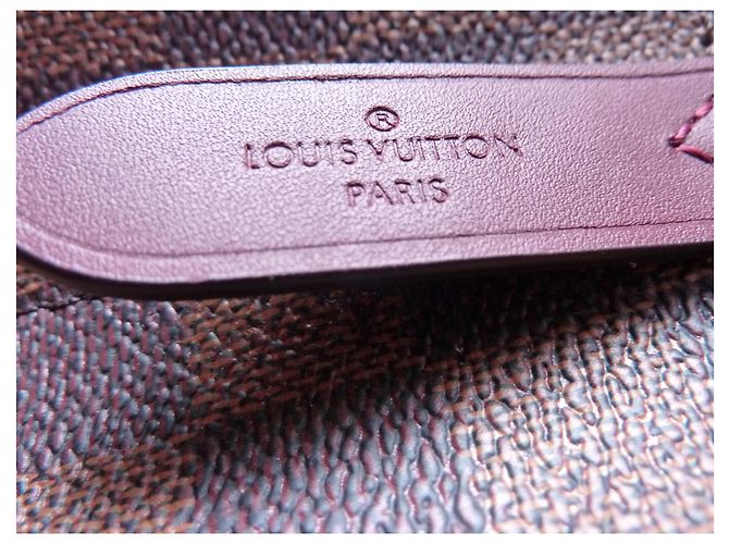 Borsa LOUIS VUITTON NEONOE CHERRY BERRY Marrone - vista 8