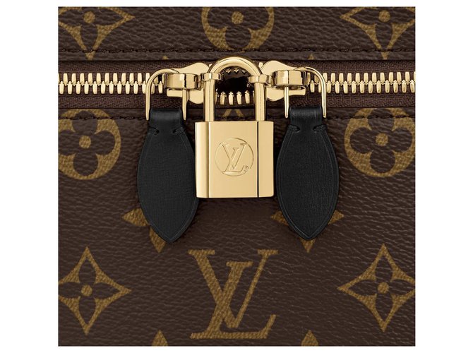 Louis Vuitton LV Vanity PM Marrone - vista 4