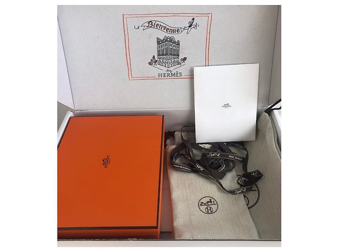 Evelyne Hermès Hermes amazone 16 Mini tpm Orange - Ansicht 2