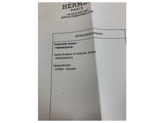 Evelyne Hermès Hermes amazone 16 Mini tpm Orange - Ansicht 6