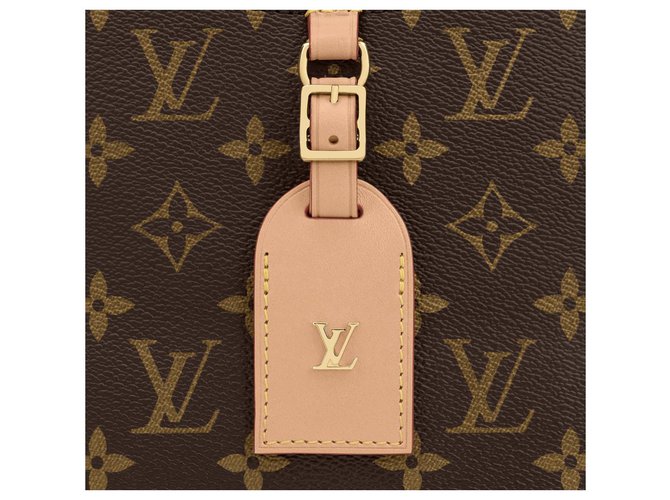Louis Vuitton LV Odeon MM nuovo Marrone - vista 4