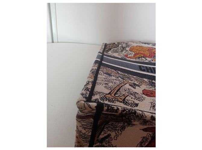 Book Tote Dior Bolsas - vista 4
