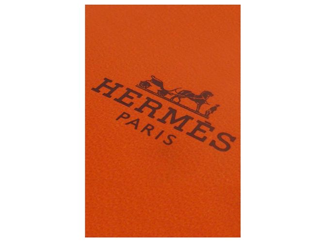 Hermès POP H EARRINGS Preto - vista 6