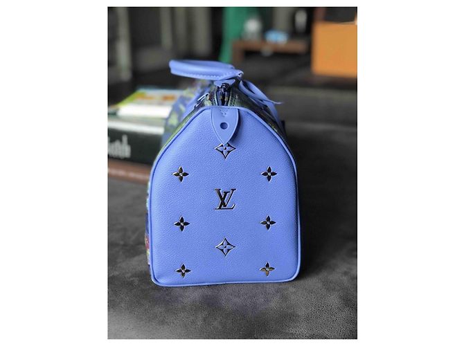 Maestri Monet Louis Vuitton Speedy Blu - vista 6