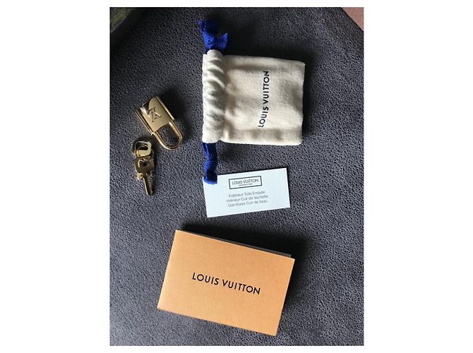Maestri Monet Louis Vuitton Speedy Blu - vista 8