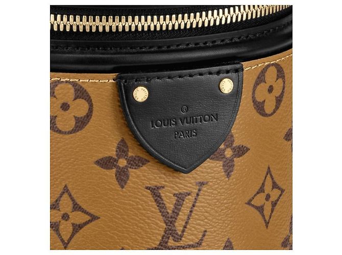 Louis Vuitton Borsa Cannes rovesciata con monogramma LV Cannes Marrone - vista 4