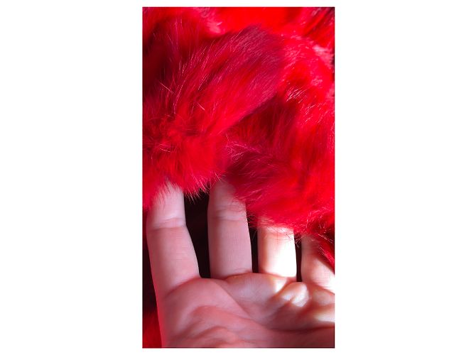 Autre Marque On parle de vous - Parka clásica forrada de piel con capucha Roja Verde oscuro - vista 7