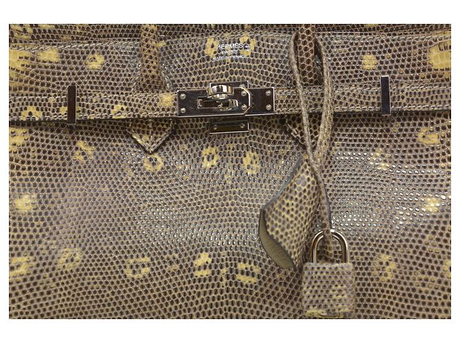 Hermès Birkin 25 en cuir lézard Multicolore - vue 3