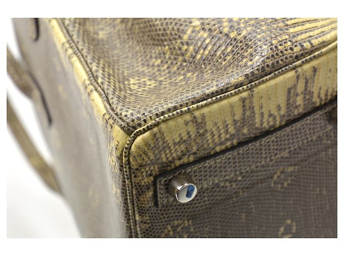 Hermès Birkin 25 en cuir lézard Multicolore - vue 5