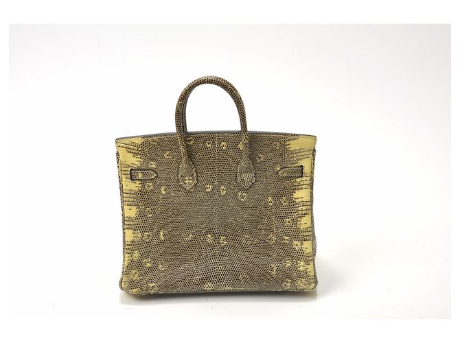 Hermès Birkin 25 en cuir lézard Multicolore - vue 6