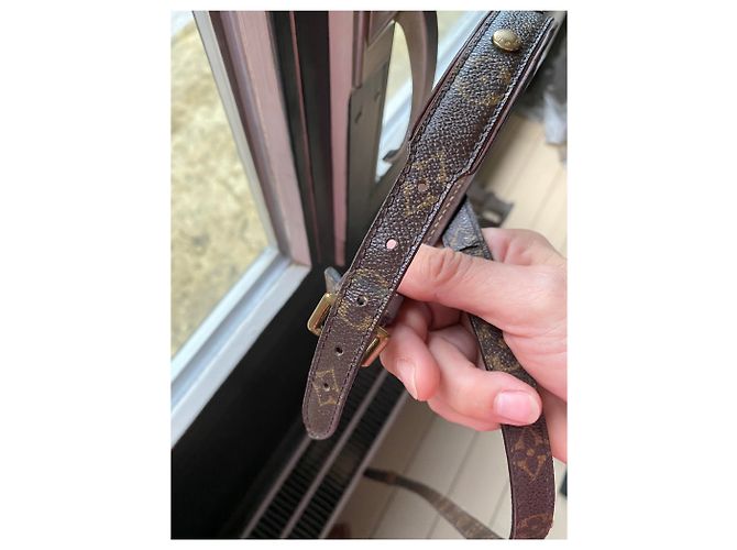 Louis Vuitton dog collar with leash Brown - view 11