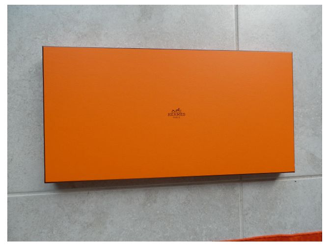 chale hermès neve d'altri tempi 140X140 Cashmere / seta Arancione - vista 14