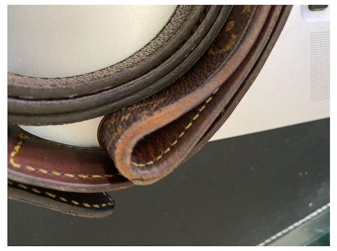 Louis Vuitton dog collar with leash Brown - view 13