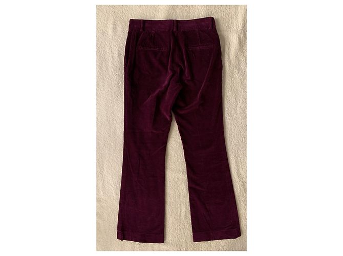 Autre Marque L'autre Wählte eine Samthose Lila - Ansicht 2