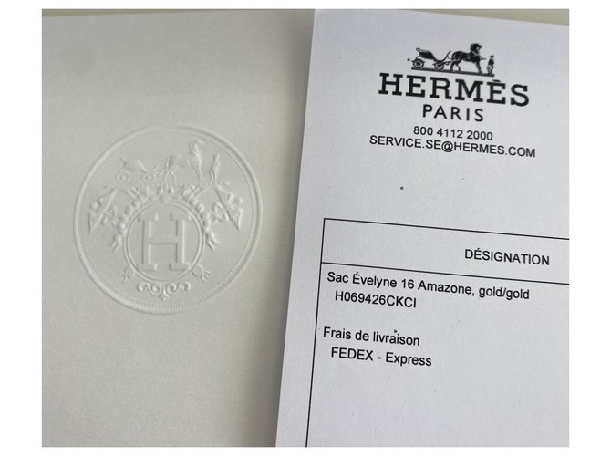 Hermès evelyne mini tpm amazone Cognac - vista 6