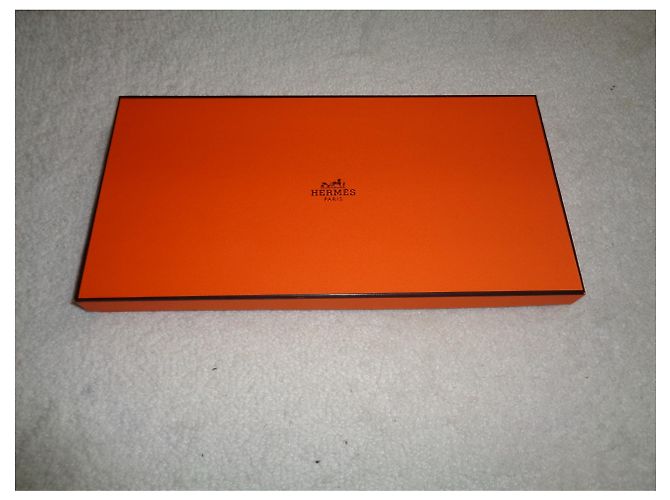 Hermès Lenços Multicor - vista 11