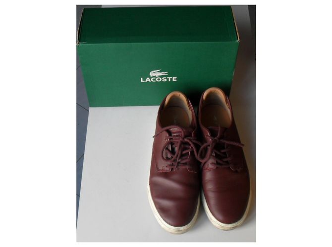 Scarpa Lacoste in vera pelle Bordò - vista 5