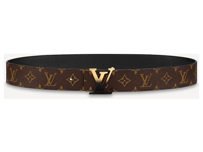 Louis Vuitton Logo spray per cintura LV Marrone - vista 2