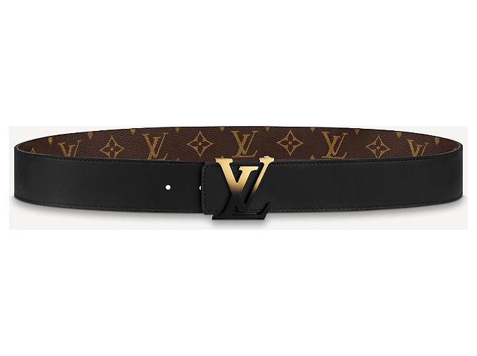 Louis Vuitton Logo spray per cintura LV Marrone - vista 3