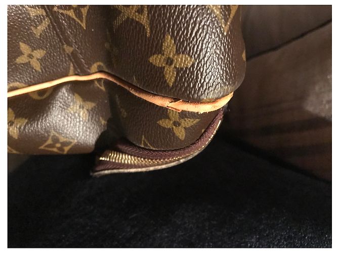 Borsa da viaggio Louis Vuitton Évasion Marrone in Tela - vista 6