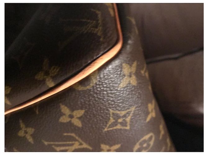 Borsa da viaggio Louis Vuitton Évasion Marrone in Tela - vista 7