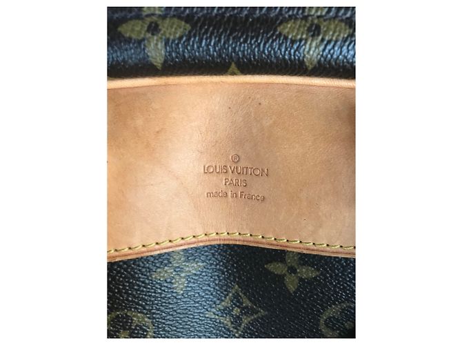 Borsa da viaggio Louis Vuitton Évasion Marrone in Tela - vista 8