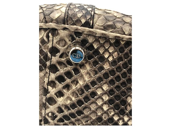 Bolsa de ombro Christian Dior em python bege Multicor - vista 5
