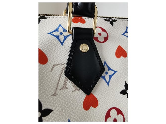 Louis Vuitton Speedy 25 Juego en Multicolor - vista 9