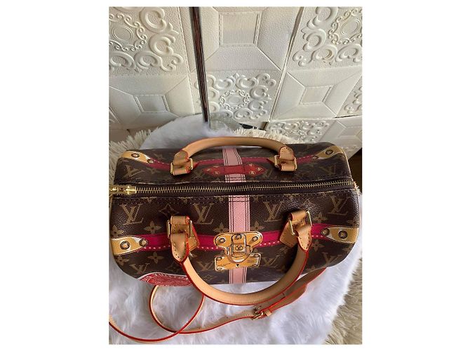 Speedy Bauletto estivo veloce di Louis Vuitton Marrone Rosa Rosso D'oro - vista 3
