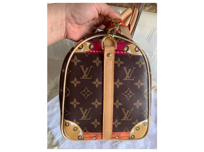 Speedy Bauletto estivo veloce di Louis Vuitton Marrone Rosa Rosso D'oro - vista 6