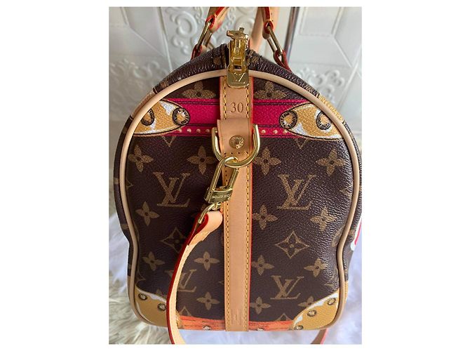 Speedy Bauletto estivo veloce di Louis Vuitton Marrone Rosa Rosso D'oro - vista 7