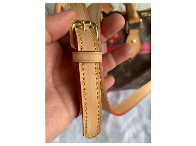 Speedy Bauletto estivo veloce di Louis Vuitton Marrone Rosa Rosso D'oro - vista 8