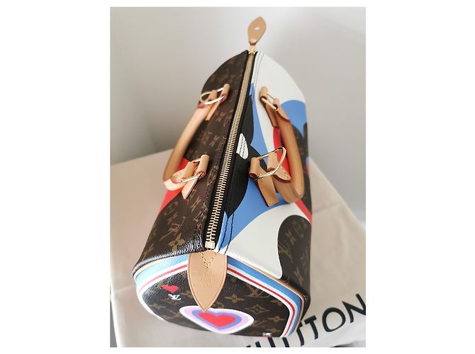 Louis Vuitton Speedy 30 Gioco acceso Multicolore - vista 5