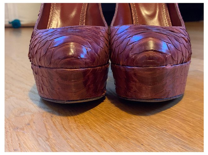 Sergio Rossi Python Pumps Kastanienbraun - Ansicht 5