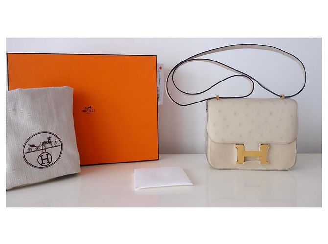 Bolso Hermès Constance III Beige - vista 14