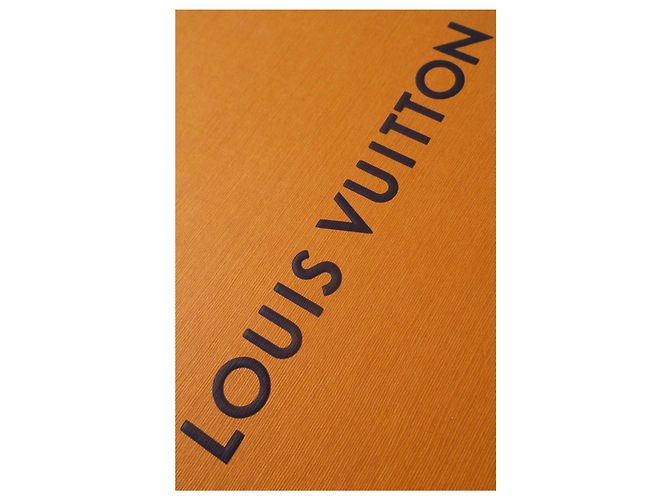 Louis Vuitton SPILLA DELL'IBISCO DEL FIORE Argento - vista 7