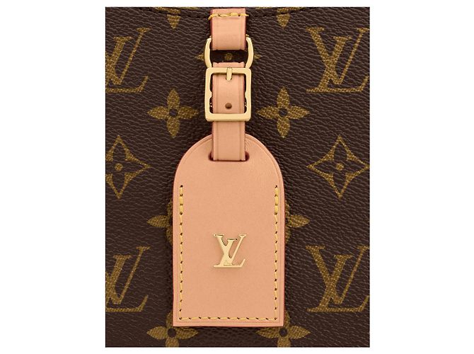 Louis Vuitton LV Odeon MM nuovo Marrone - vista 4