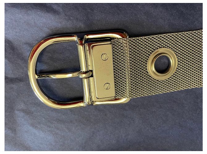 Sonia Rykiel Cintura metallica argentata con occhielli - vista 8