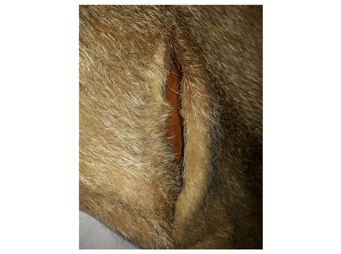 Louis Féraud FOURRURES PARIS Elegante Lujoso Abrigo de Piel Nutria Coypu Completamente Cerrable Castaño - vista 6