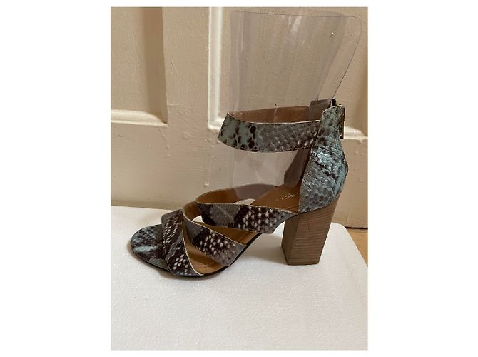 CAROLL Sandalen aus Leder Python Print Hellblau Mehrfarben - Ansicht 2