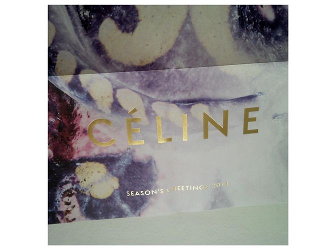 Phoebe Philo Céline Art Poster. Scrittura dorata. 58 X 40 cm. new. - vista 2