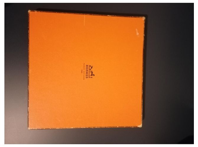 Hermès Flora y fauna de Texas Azul oscuro - vista 12