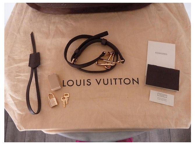 LOUIS VUITTON Audacieuse GM Empreinte borsa Marrone scuro - vista 11