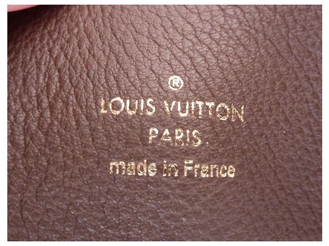LOUIS VUITTON Audacieuse GM Empreinte borsa Marrone scuro - vista 8