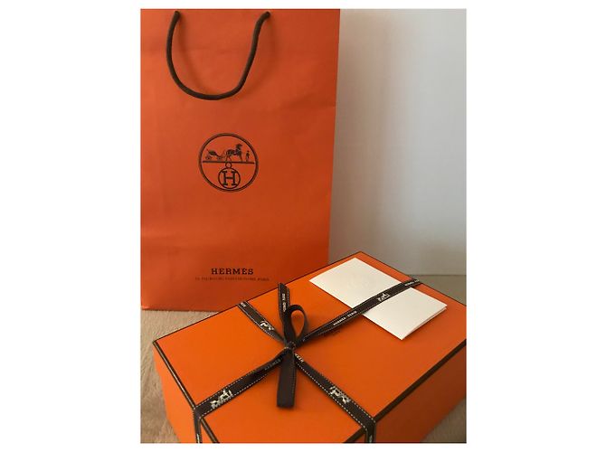 Hermès Kelly Danse II Terre Battue swift leather gold hardware Arancione - vista 13