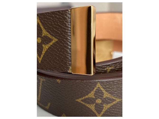 Louis Vuitton Brown Grained Leather Belt - view 6