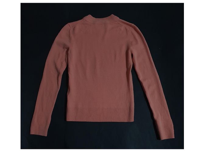 Jersey Acne Punch PAW Rosa de Lana - vista 2