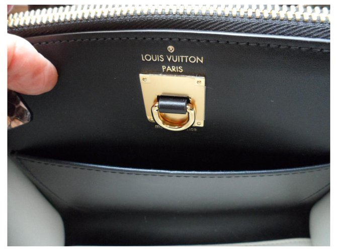 City Steamer Louis Vuitton Città piroscafo Crema - vista 5
